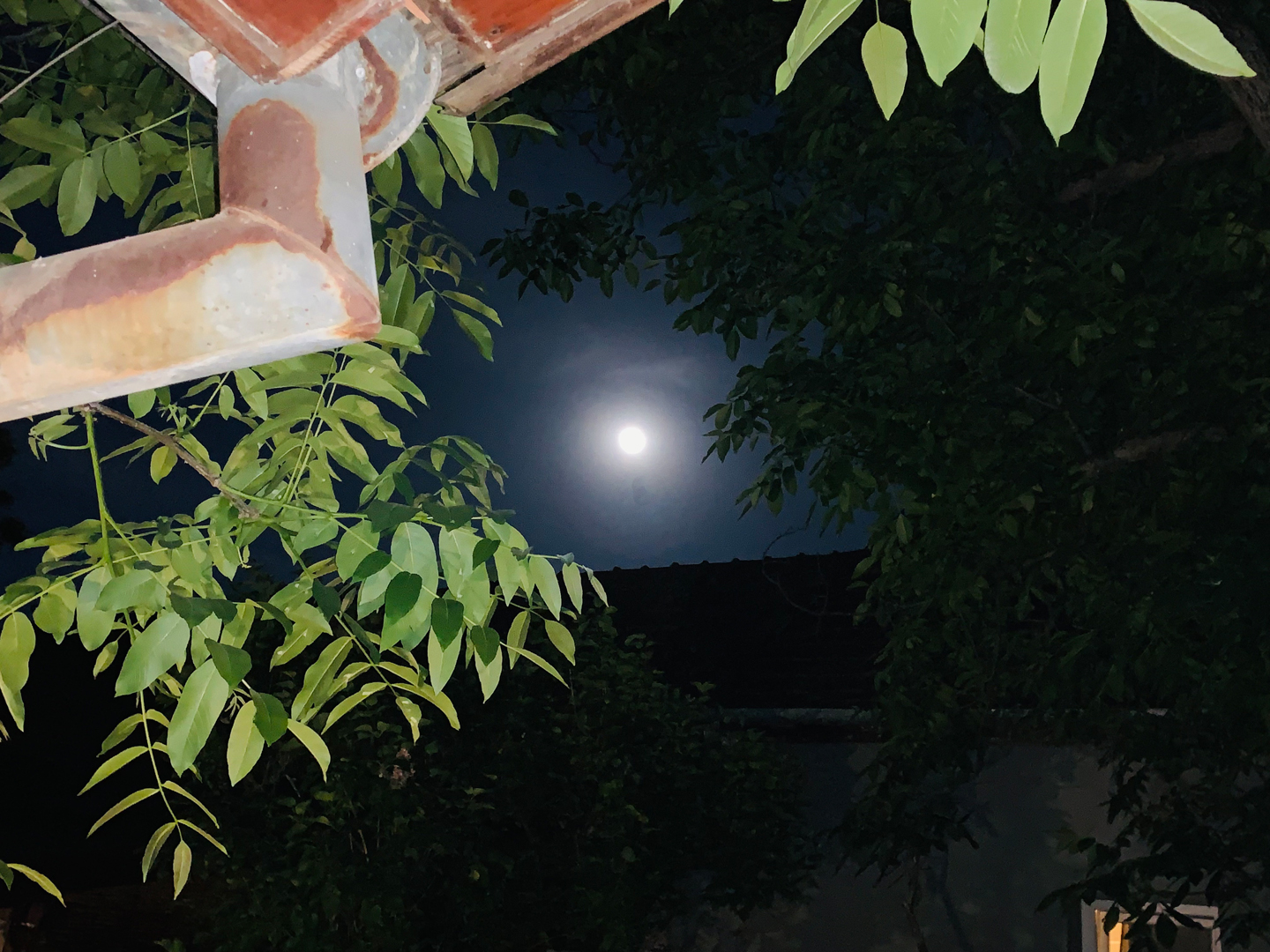 der letzte Abend - the last evening